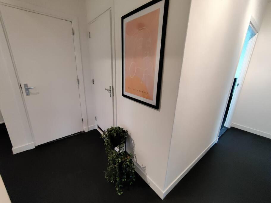 K50159 Spacious And Modern Near The Center, Free Parking Apartment