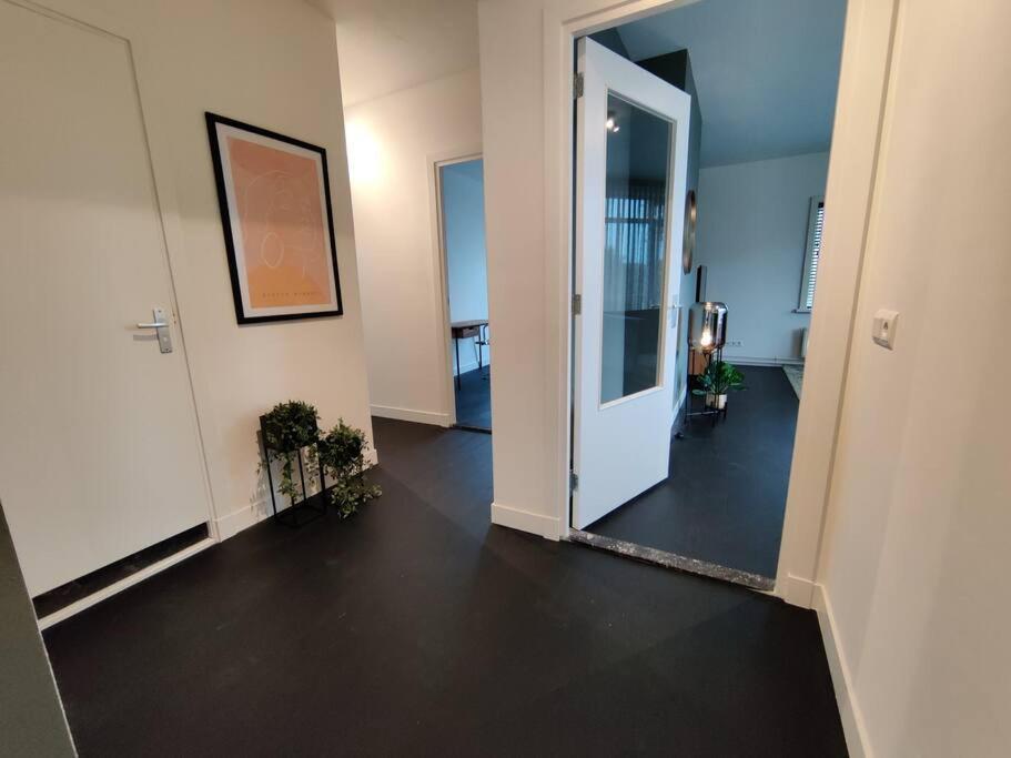 Apartment K50159 Spacious And Modern Near The Center, Free Parking *